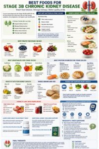 best foods for stage 3b chronic kidney disease